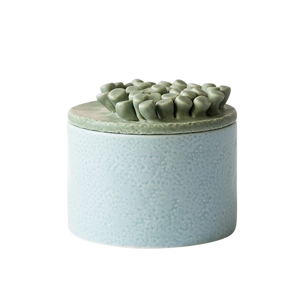 CORAL VANITY CONTAINER - DEEP SEA MULTI