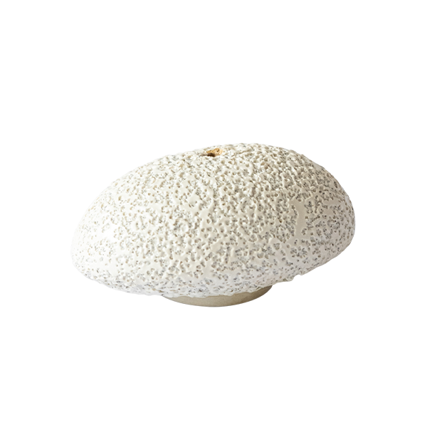 INCENSE HOLDER - LAVA + BONE