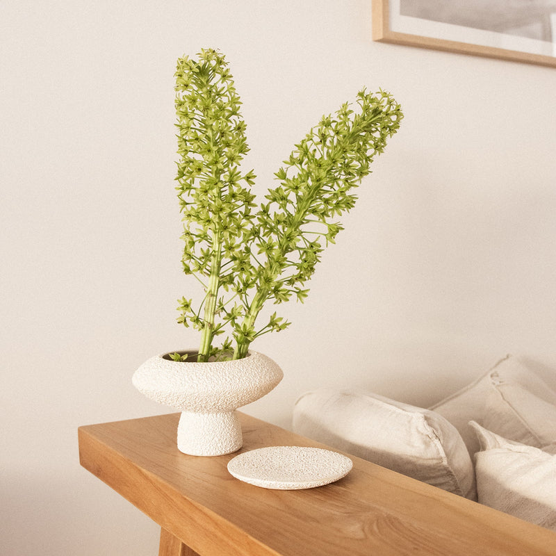 Lully Vase - Lava & Bone