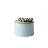 Vanity Container - Deep Sea